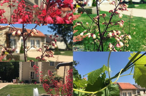 Photo 17 - L'orangerie DU Chateau DES Cedres