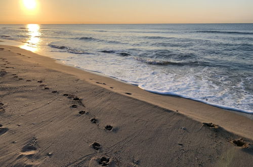 Photo 23 - Mersey Be my Guest Castelldefels