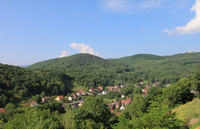 Terrasses D'alsace - Foto 48