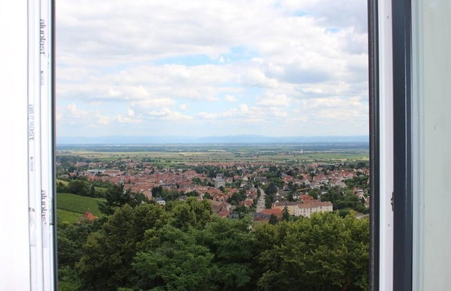 Terrasses D'alsace - Foto 46
