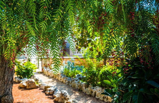 Trullo Cittadino - Foto 19