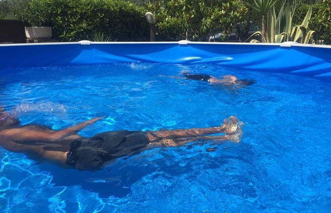 Trullo Cittadino - Foto 16