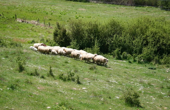 Farmhouse Passignano Near Lake Trasimeno - Foto 35