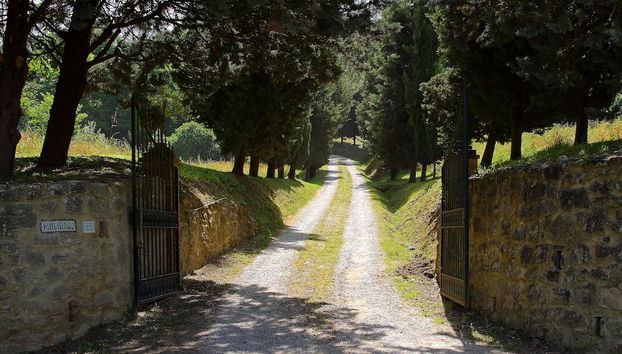 Check-in e check-out automático