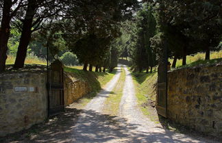 Photo 2 - Agriturismo Paradiso