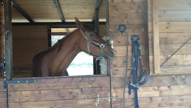 Check-in e check-out automático