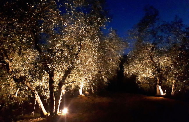 Agriturismo Antico Borgo Poggitazzi - Foto 69
