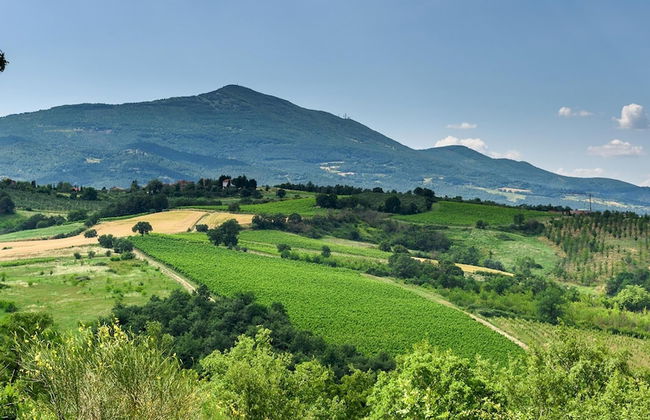 Si-h790-sp820at - Amantino 8 - Foto 22