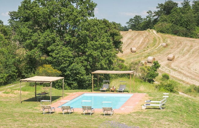 Si-h790-sp820at - Amantino 8 - Foto 19