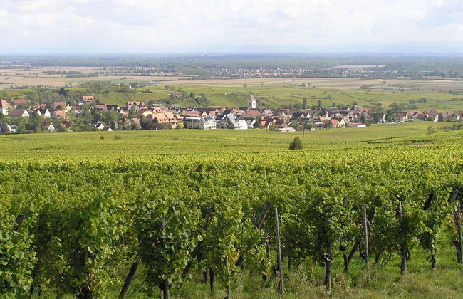 Centre Le Mittel - Foto 15