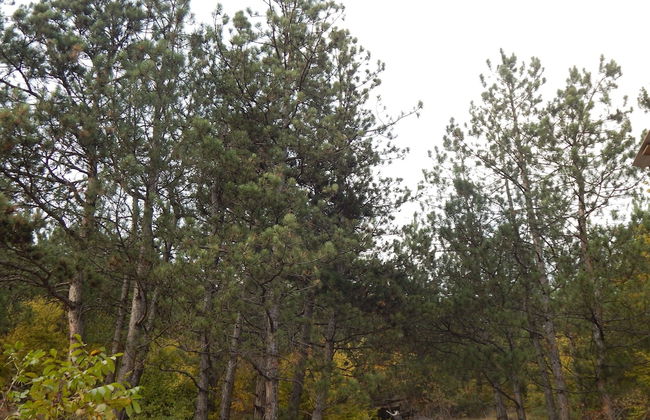 Arami Guesthouse - Foto 13