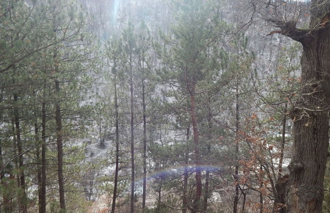 Arami Guesthouse - Foto 14