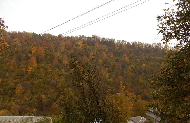 Arami Guesthouse - Foto 8