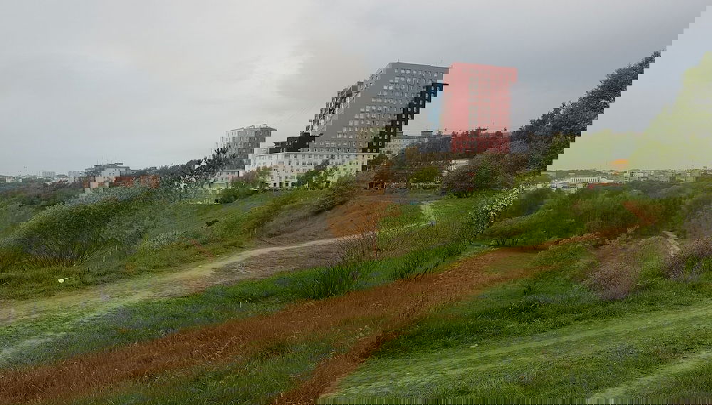 Image principale