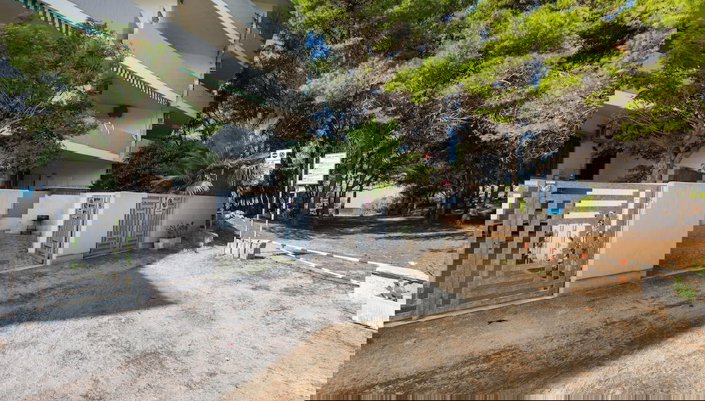 Image principale