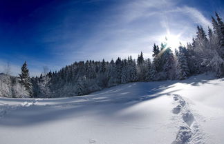 Photo 2 - Chalet Natura With Sauna and Whirlpool CXL