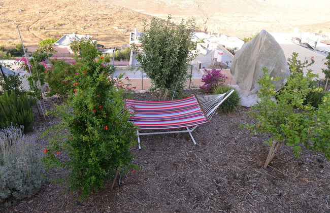 Villa Herodion - Photo 15