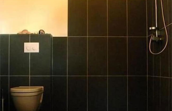 Vanuatu Uncharted Sport Fishing Lounge - Photo 15