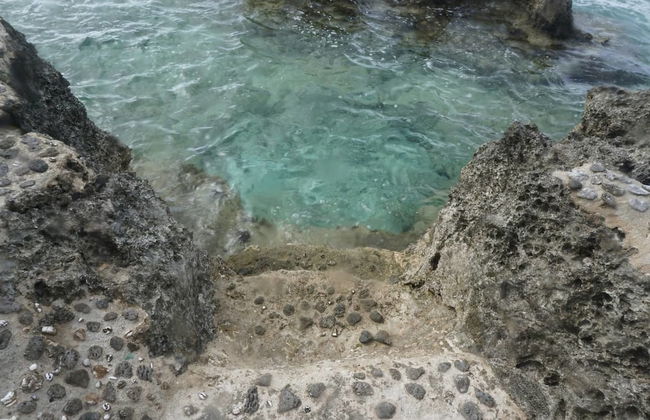 Vanuatu Uncharted Sport Fishing Lounge - Photo 19