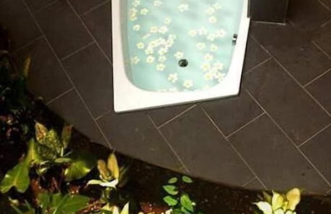 Vanuatu Uncharted Sport Fishing Lounge - Photo 13