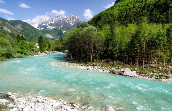 House By The Stream - Foto 28
