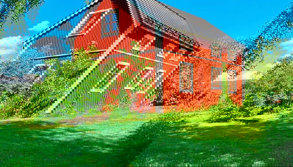 Primary image