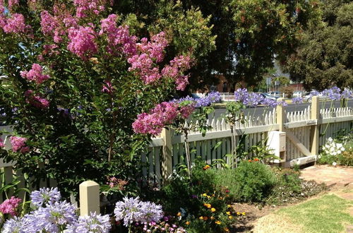 Photo 31 - A Market Place Mudgee