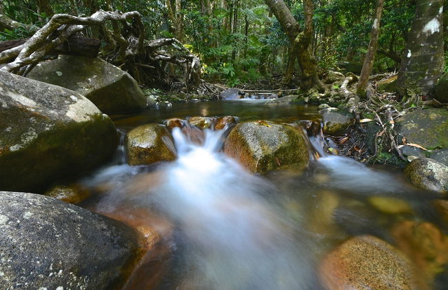 Daintree Cascades - Foto 53