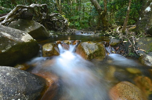 Foto 53 - Daintree Cascades