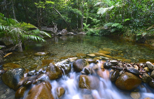 Daintree Cascades - Foto 46