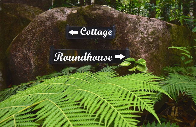 Daintree Cascades - Foto 40