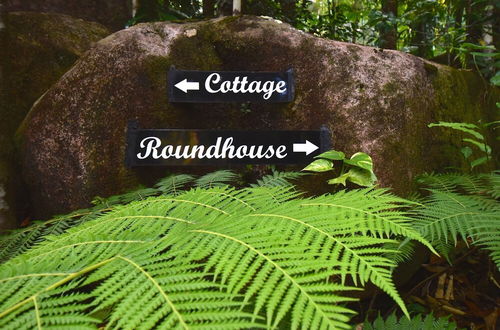 Photo 40 - Daintree Cascades