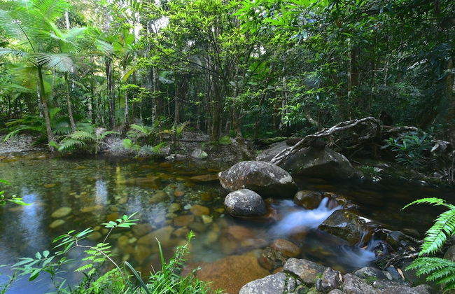 Daintree Cascades - Foto 49