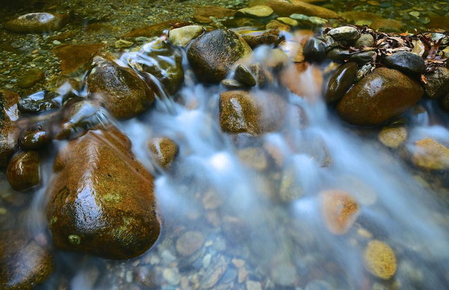 Daintree Cascades - Foto 50