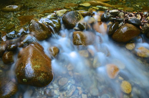 Photo 50 - Daintree Cascades