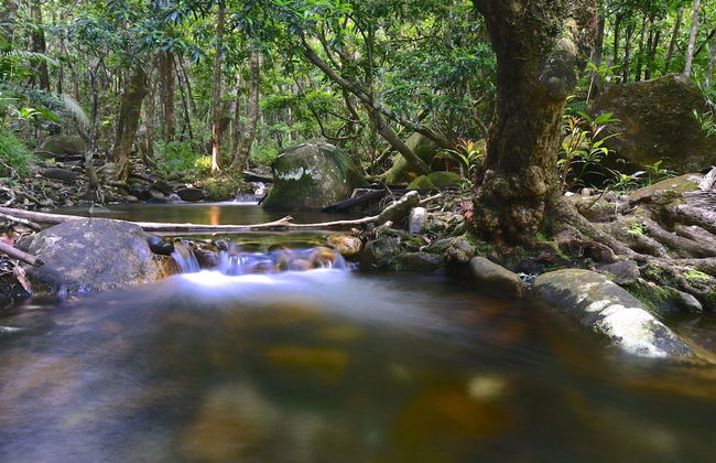 Daintree Cascades - Foto 48