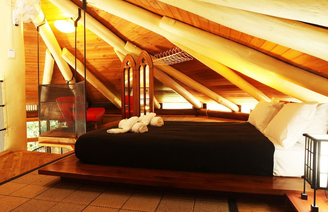 Daintree Cascades - Foto 3