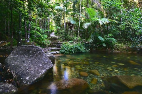 Foto 47 - Daintree Cascades