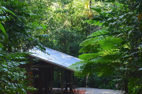 Photo 52 - Daintree Cascades