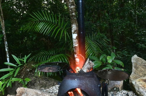 Photo 41 - Daintree Cascades