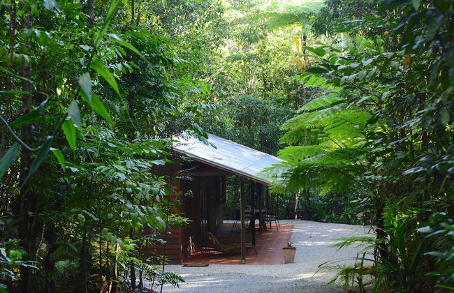 Daintree Cascades - Foto 51