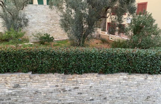 Apartments Petrovac - Photo 38