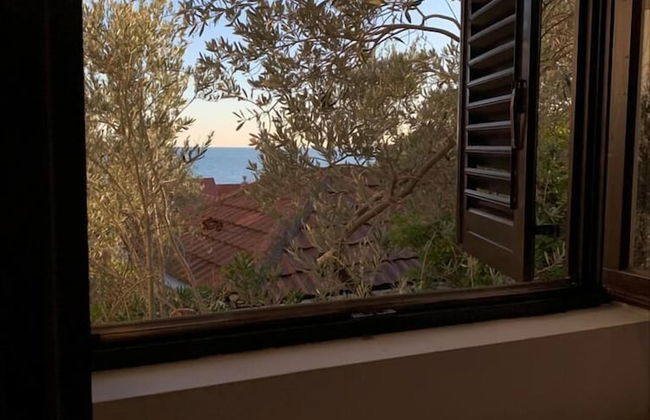 Apartments Petrovac - Photo 6