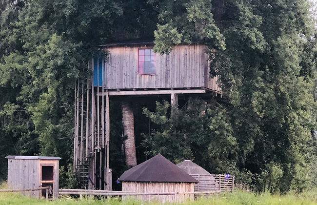 Treehouse Magpies Nest With Bubble Pool - Foto 1