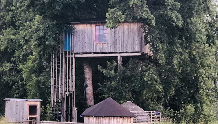 Foto 1 - Treehouse Magpies Nest With Bubble Pool