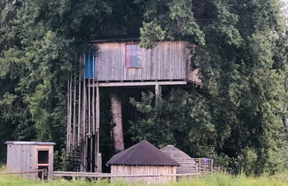 Foto 1 - Treehouse Magpies Nest With Bubble Pool