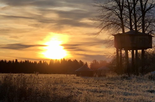 Photo 20 - Treehouse Magpies Nest With Bubble Pool