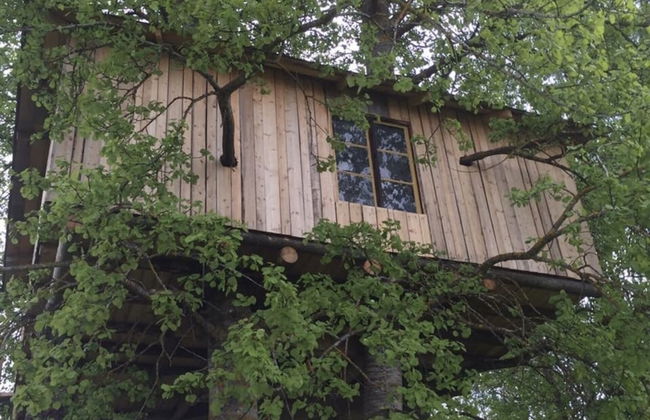 Treehouse Magpies Nest With Bubble Pool - Foto 40