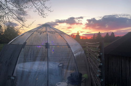 Photo 41 - Treehouse Magpies Nest With Bubble Pool