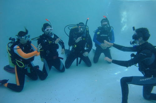 Photo 12 - Coral Divers